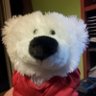 Proedros's profile picture