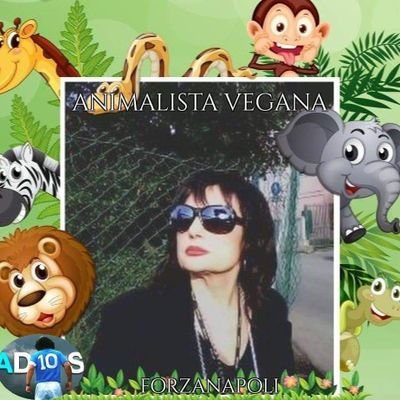 FiorellaArcodi1's profile picture