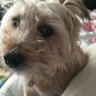Jude's profile picture