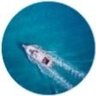 VICTORIA's profile picture