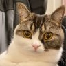 こうたろう's profile picture