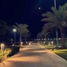 الوافي 的头像
