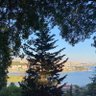 Profilbild von hiç!!!