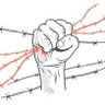 Gino PACILLI's profile picture