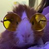 Anti Amicus's profile picture