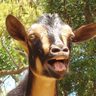 the goatess's profile picture