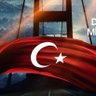 Y. Şengül's profile picture