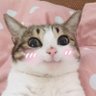 Profilbild von 溫暖的人