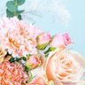 خيال 🌷 的头像
