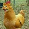 chanso's profile picture
