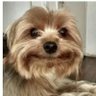 M's profile picture