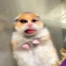B_ts_y_✨'s profile picture