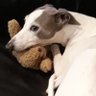 Profilbild von Linda- Melisande