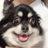Fumi@テオファミ's profile picture