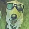Profilbild von David