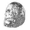 Dead Neanderthals (also on bsky.app)'s profile picture