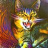 MaadCat profil fotoğrafı