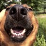 Jakub Gmerek's profile picture