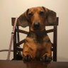 M Crocker's profile picture