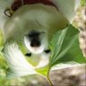 Profilbild von flyingfly