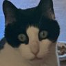 Jeff Stockdill's profile picture