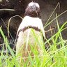 みみ profil fotoğrafı