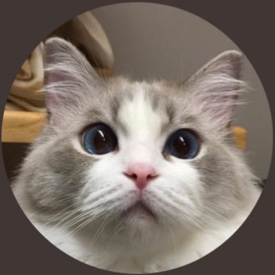 かいつけ's profile picture