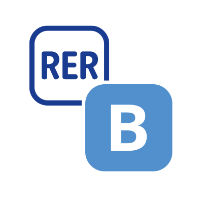 RER B's profile picture