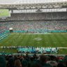 Phins4YoHoe 的头像