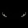 Pan Perez's profile picture