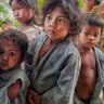 Profilbild von desh Premi Nepali