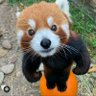 Profilbild von Это я