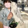 ماجد المطرودي | V's profile picture