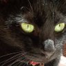 Ì LOVEかえデ profil fotoğrafı