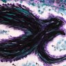 BlitzGasher's profile picture