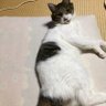 Фото профиля えんちゃん