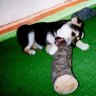 まりわん🍋💖🐶🍃🐾 profil fotoğrafı