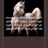 Фото профиля سهم الدليمي