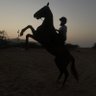 سليمان الحسني 的头像