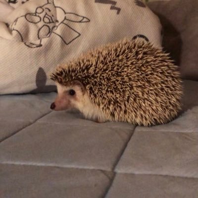 abejulie's profile picture