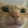 Profilbild von pufnbup
