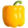 elchilenoamarillo 🇨🇱 的头像