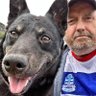 Profilbild von Allan Klo