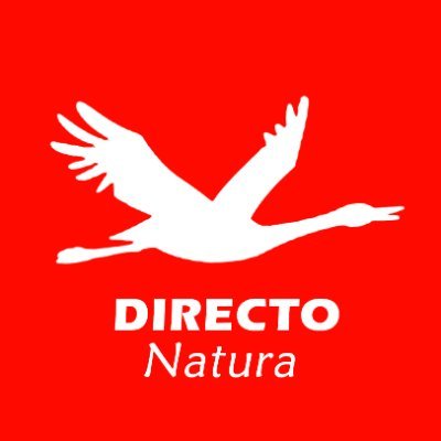 Directo Natura's profile picture