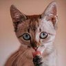 ManinhowBrown's profile picture