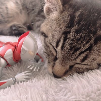 athina_2021's profile picture