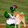 I_Heart_Phillies 的头像
