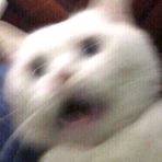 FanticaDemo's profile picture