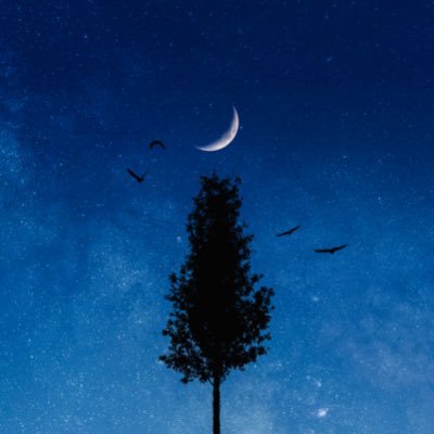 _szuna's profile picture