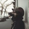 Maqhoba profil fotoğrafı